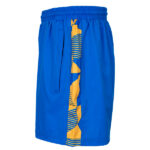 Shrewsbury Town Cracked Ice Training Shorts - Image 4