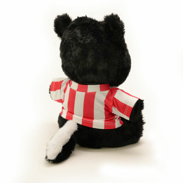 Lincoln City Skunk Plush - Image 2