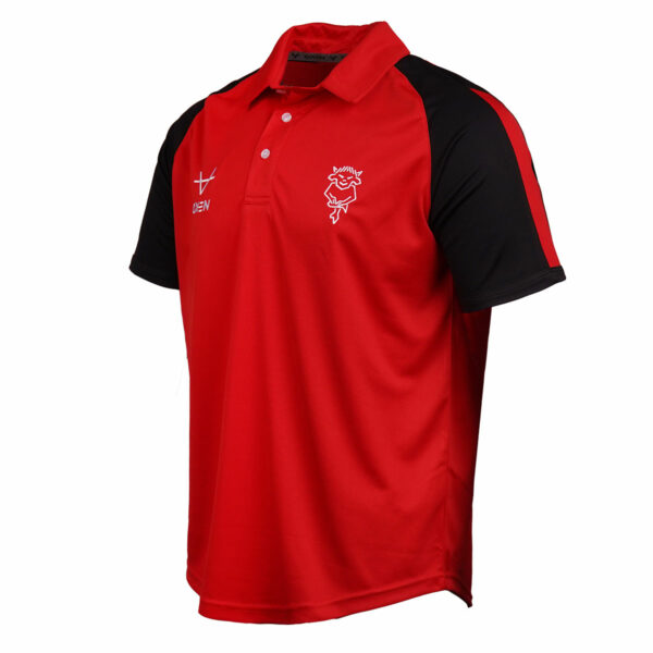 Lincoln City 25/26 Players Polo - Image 2