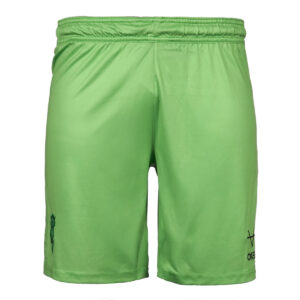 Lincoln City 25/26 Third GK Shorts