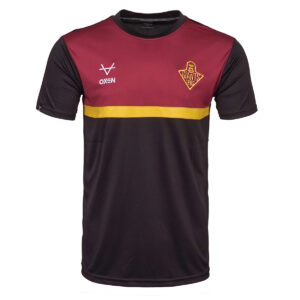 Huddersfield Giants Essential Panel Tee