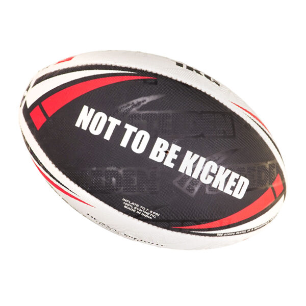 Titan Heavy Weight Trainer Ball - Image 2