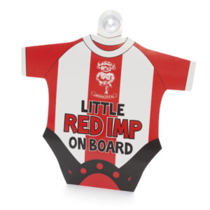 Lincoln City Baby On Board