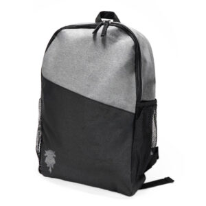 Lincoln City Gradient Backpack