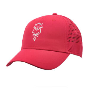 Lincoln City Laser Dot Cap Red